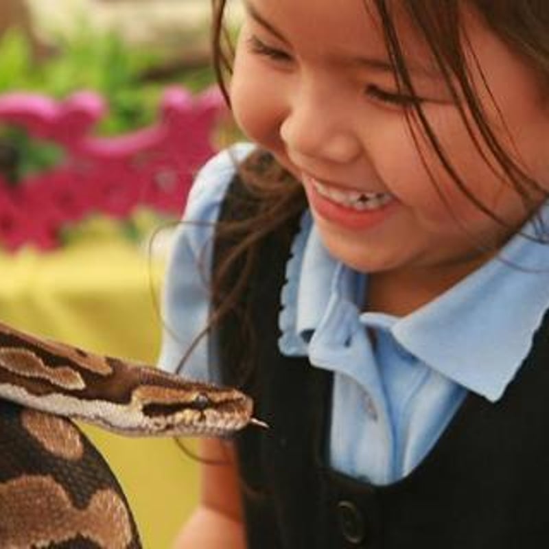 Reptile & Insect Encounters